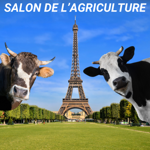 SALON DE L'AGRICULTURE