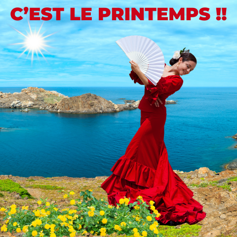 Pèlerinage du Rosaire à Lourdes