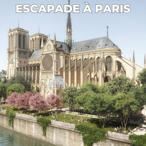 Pèlerinage du Rosaire à Lourdes